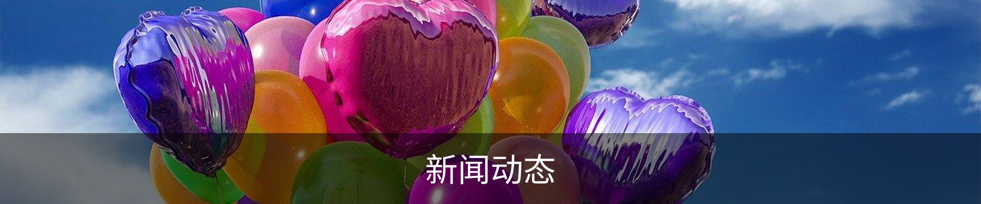 新闻动态