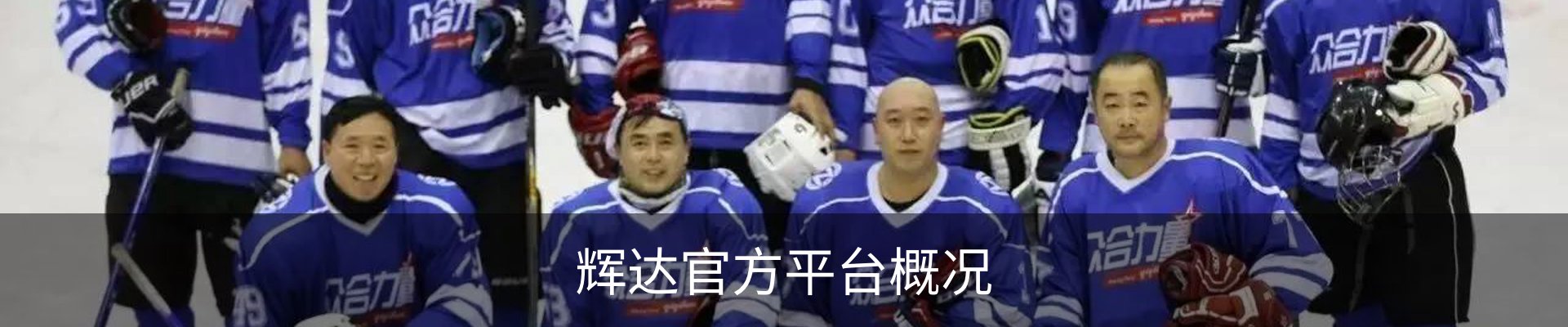 辉达官方平台概况